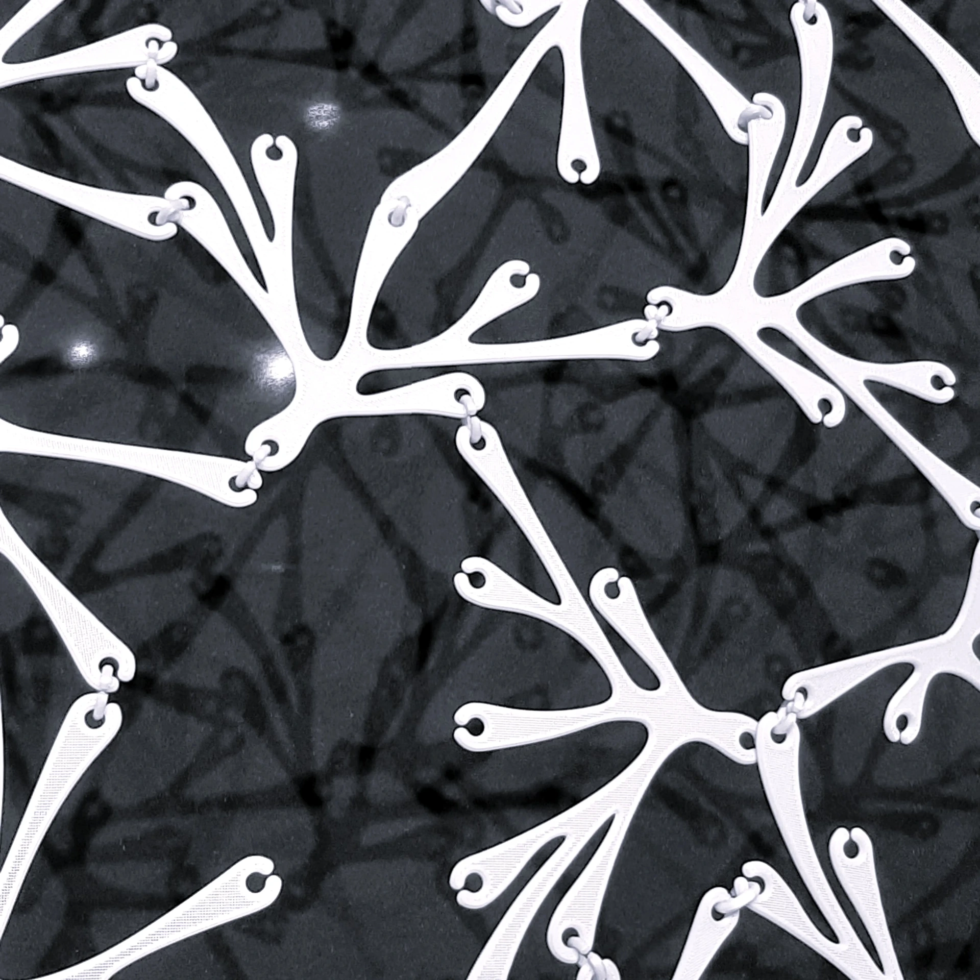 Neurons