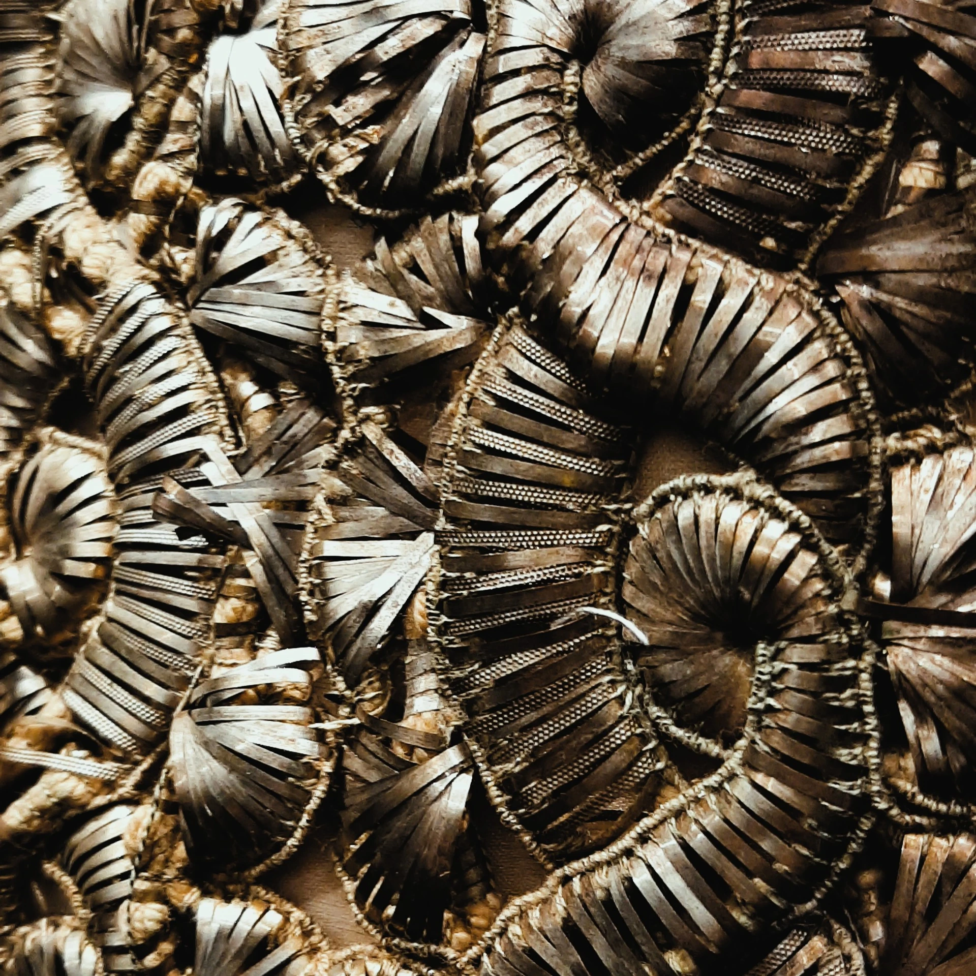Cocoon