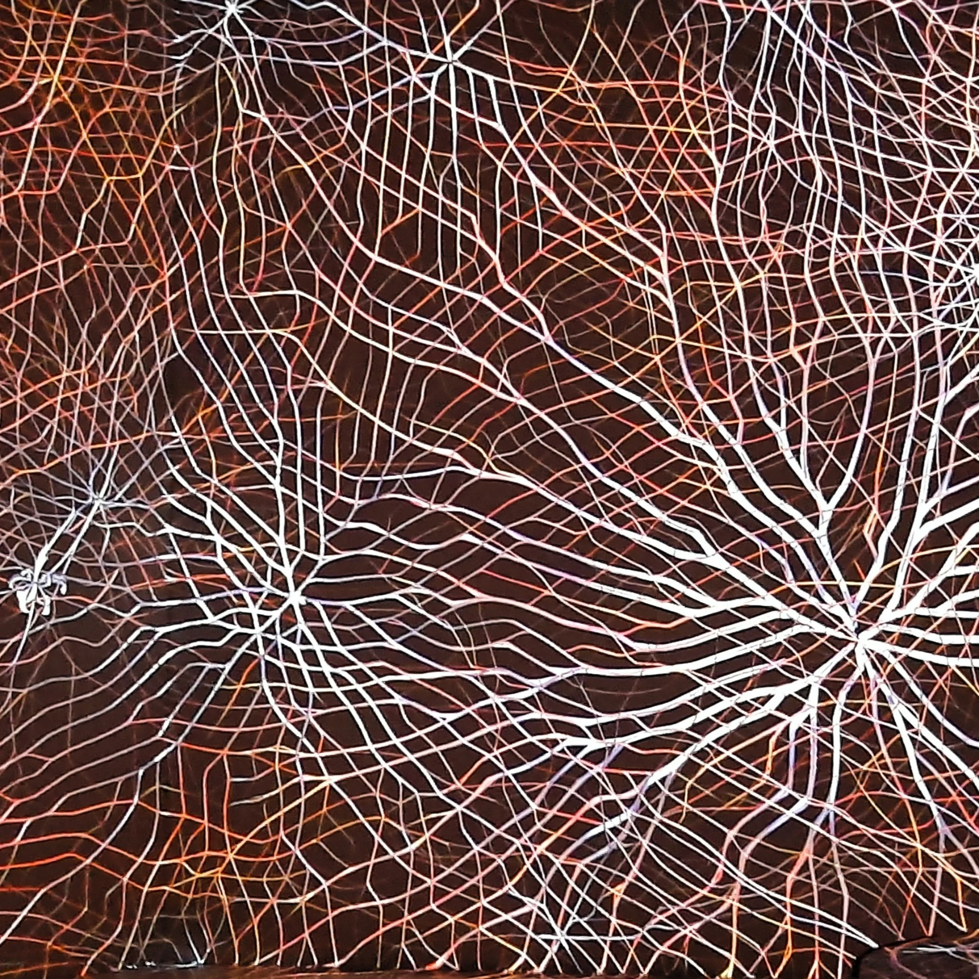 Neuro