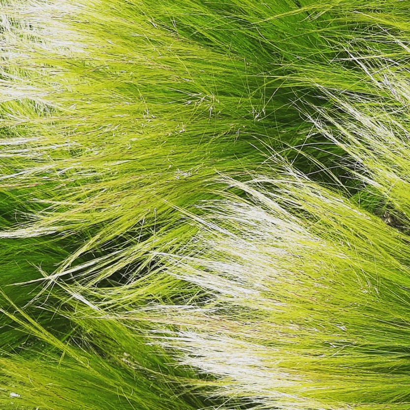 Green (30x30, Keret + Paszpartúra)